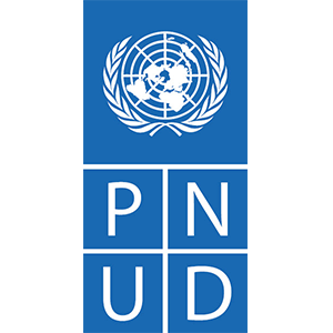 logo pnud